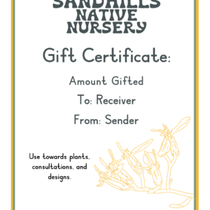 Gift Certificate